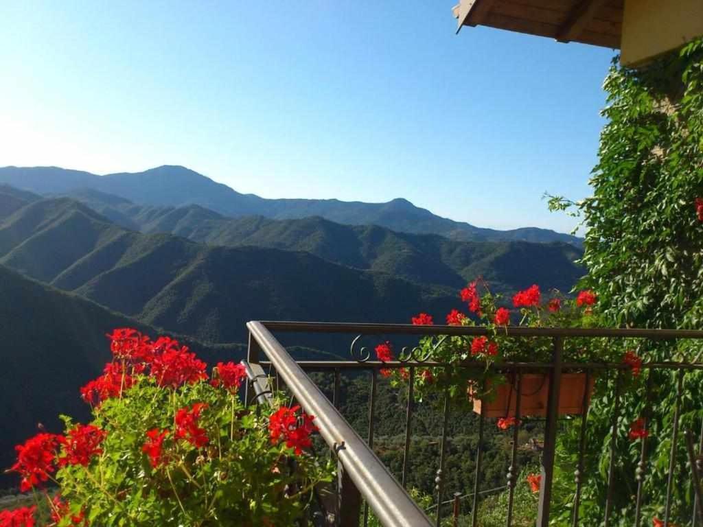 Agriturismo Al Pagan Pigna Kültér fotó