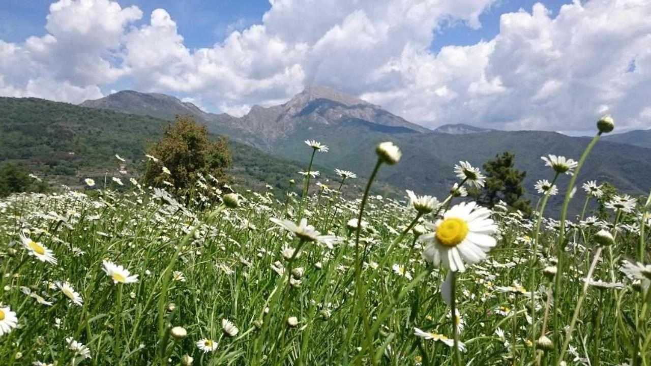 Agriturismo Al Pagan Pigna Kültér fotó
